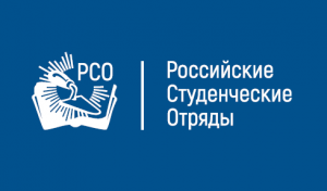 Скриншот 05-02-2024 111438